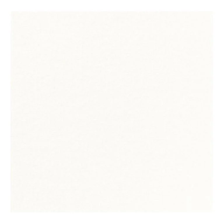 COPRIMACCHIA BIANC DUNISOFT 50pz 100x100 COPRIMACCHIA DUNI 165055 BIANCO