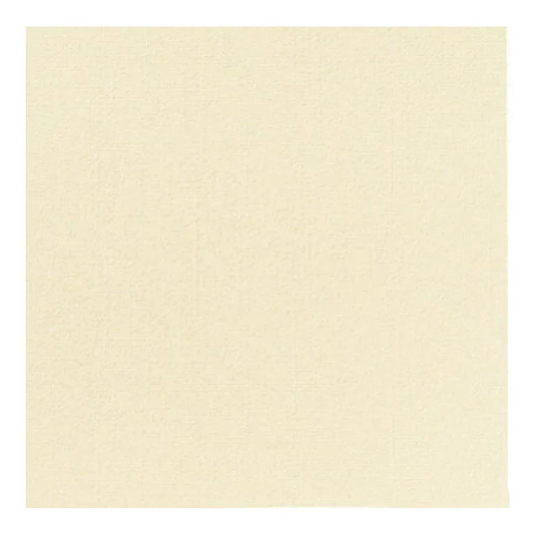 COPRIMACCHIA CHAMP DUNISOFT 50pz 100x100 COPRIMACCHIA DUNI 165056 CHAMPAGNE