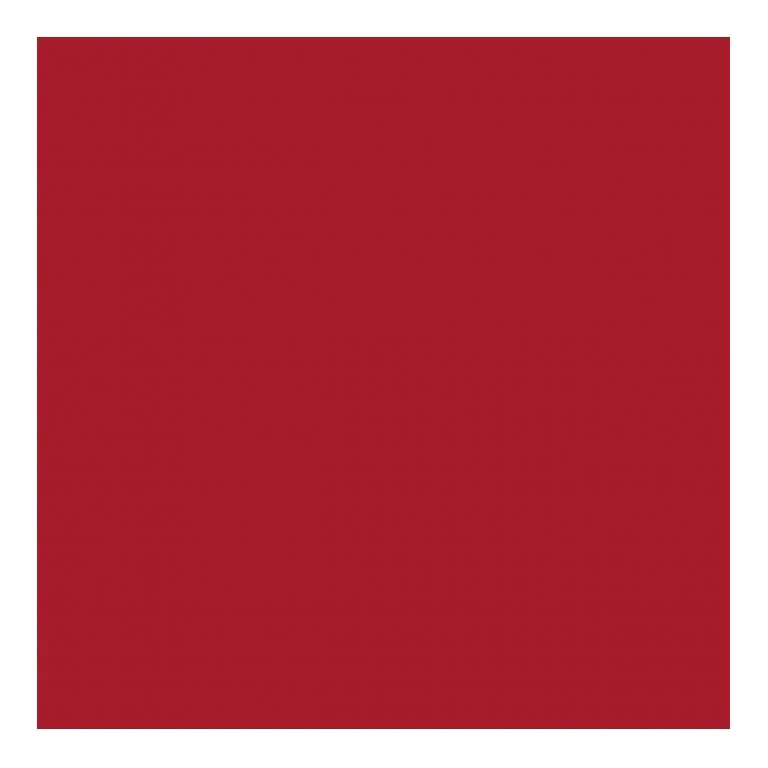 COPRIMACCHIA RED DUNISOFT 50pz 100x100 COPRIMACCHIA DUNI 169623