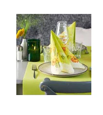 TETE A TETE DUNICEL KIWI 0.41X24m  COD 183389 DUNI - Image 2