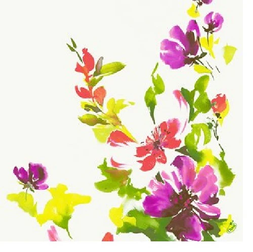 TOVAGLIOLI SUNRISE STRI 4 VELI 40x40 50p COD 168222 DUNI
