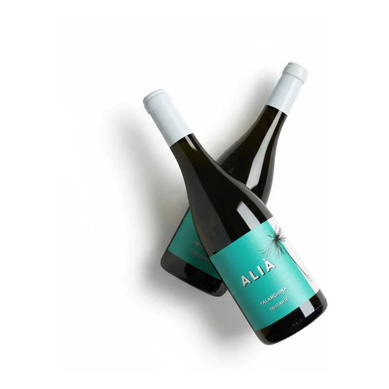 VINO FALANGHINA ALIA FRIZZANTE CANTINA DI SOLOPACA IGP-75CL - Image 2