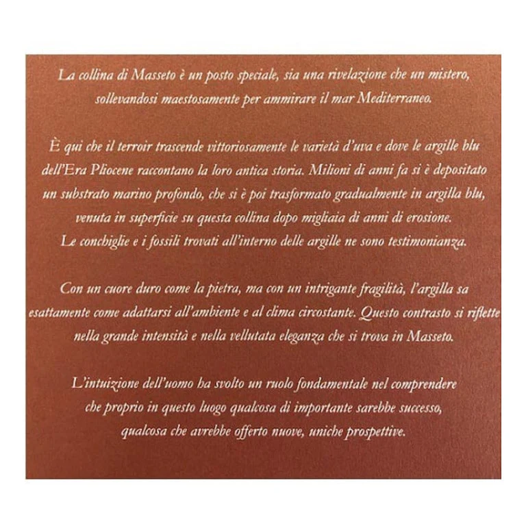 VINO MASSETO 2019 TOSCANA IGT-75CL - Image 2
