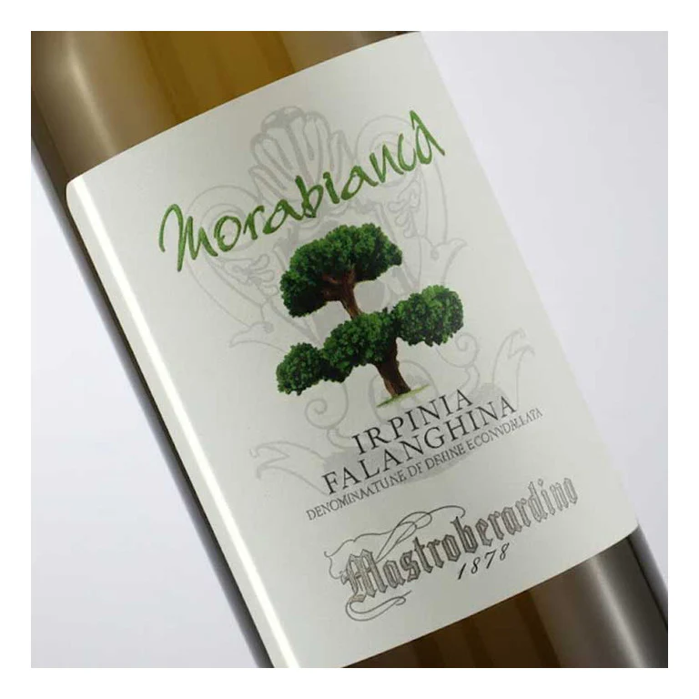 VINO MASTROBERARDINO MORABIANCA 2020 IRPINIA FALANGHINA DOC-75CL - Image 2