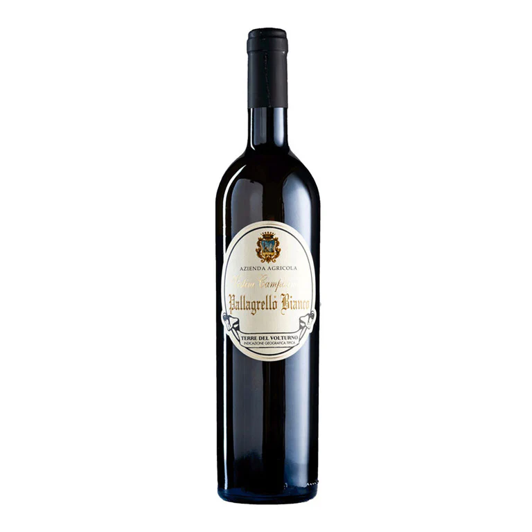 VINO PALLAGRELLO BIANCO 2023 IGT -75CL VESTINI CAMPAGNANO TERRE DEL VOLTURNO
